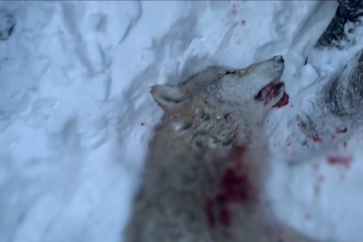 Фото: astanatv.kz