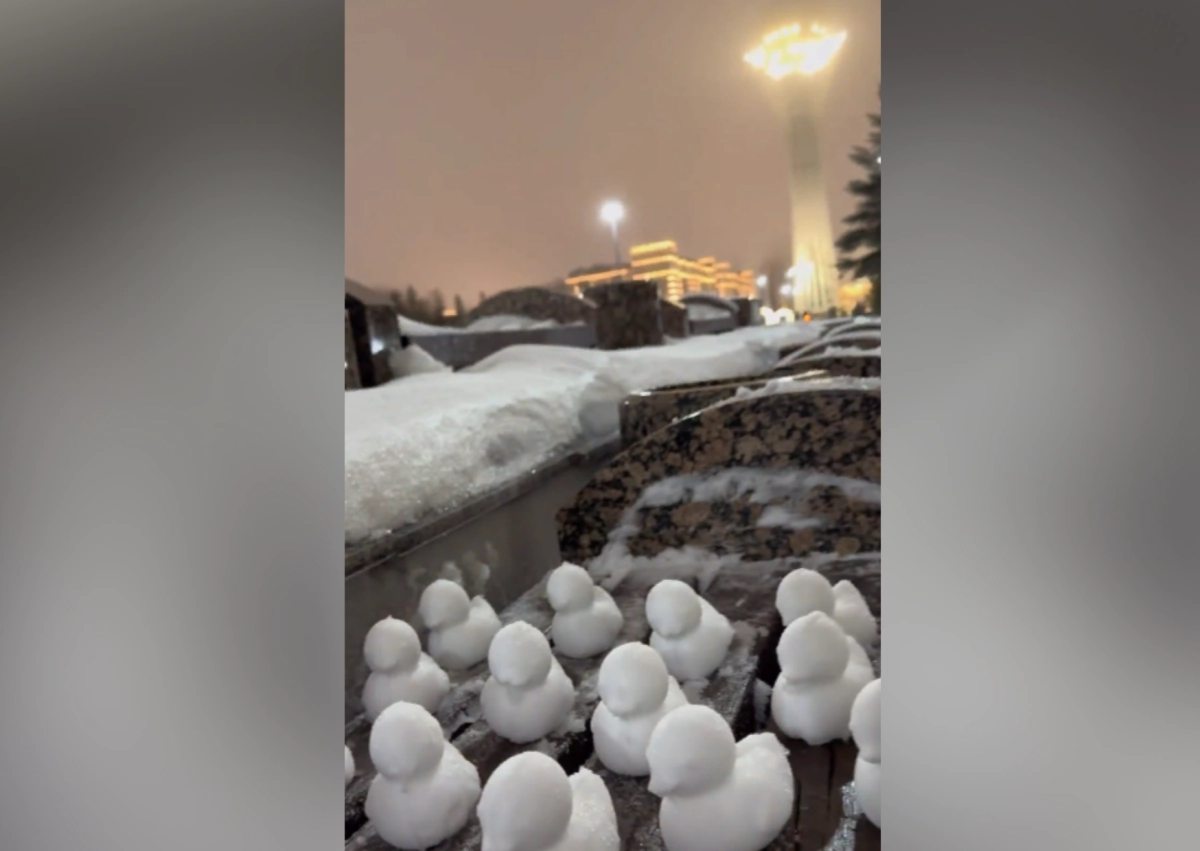 Фото: кадр из видео