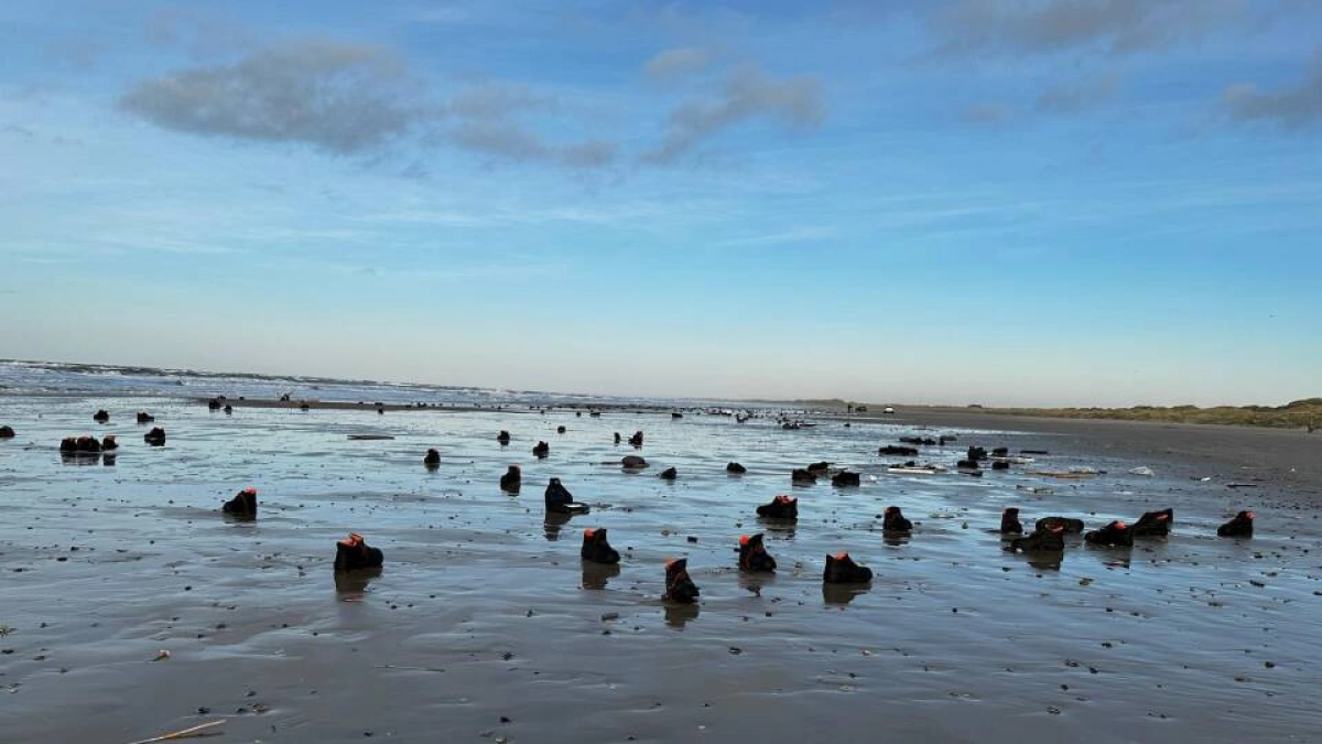 Фото: dr.dk/Thomas Duurloo