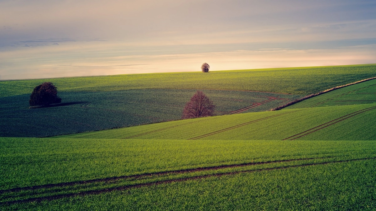 Фото: pixabay.com