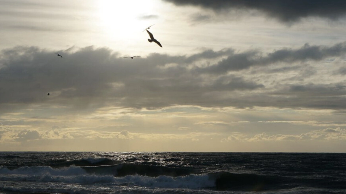 Фото:  «Мир 24» / Елизавета Шагалова