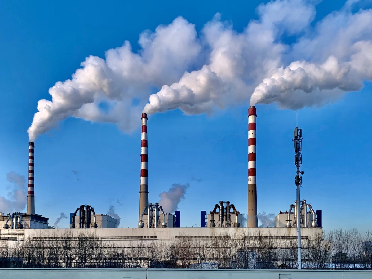 Фото: unsplash.com