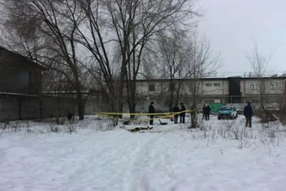 Фото: instagram.com/ile.police