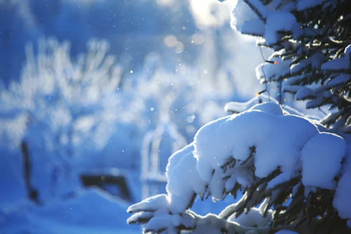 Фото: depositphotos.com