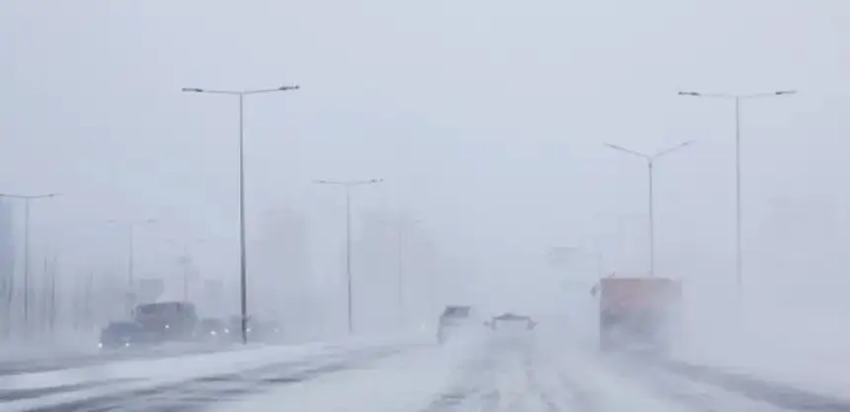 Фото: Виктор Федюнин/агентство Kazinform