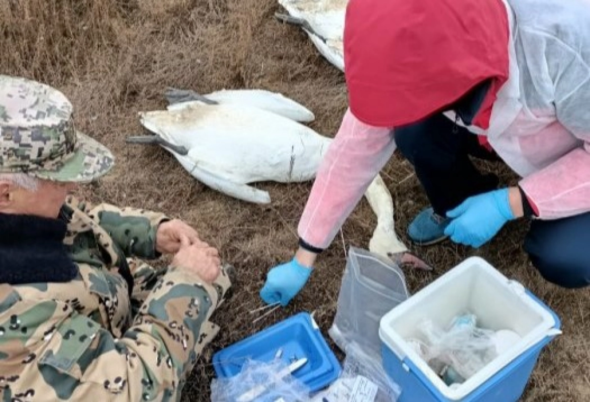 Фото: Устюртский государственный природный заповедник