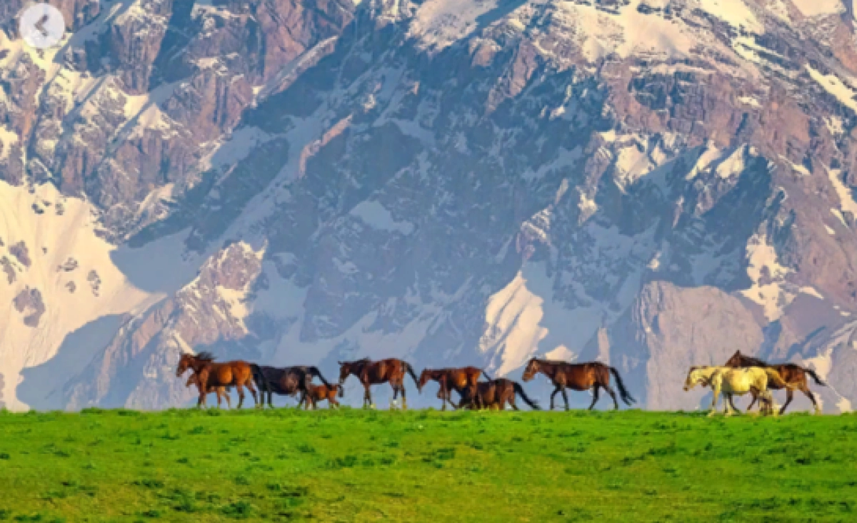 Фото: Instagram/@dots_foto