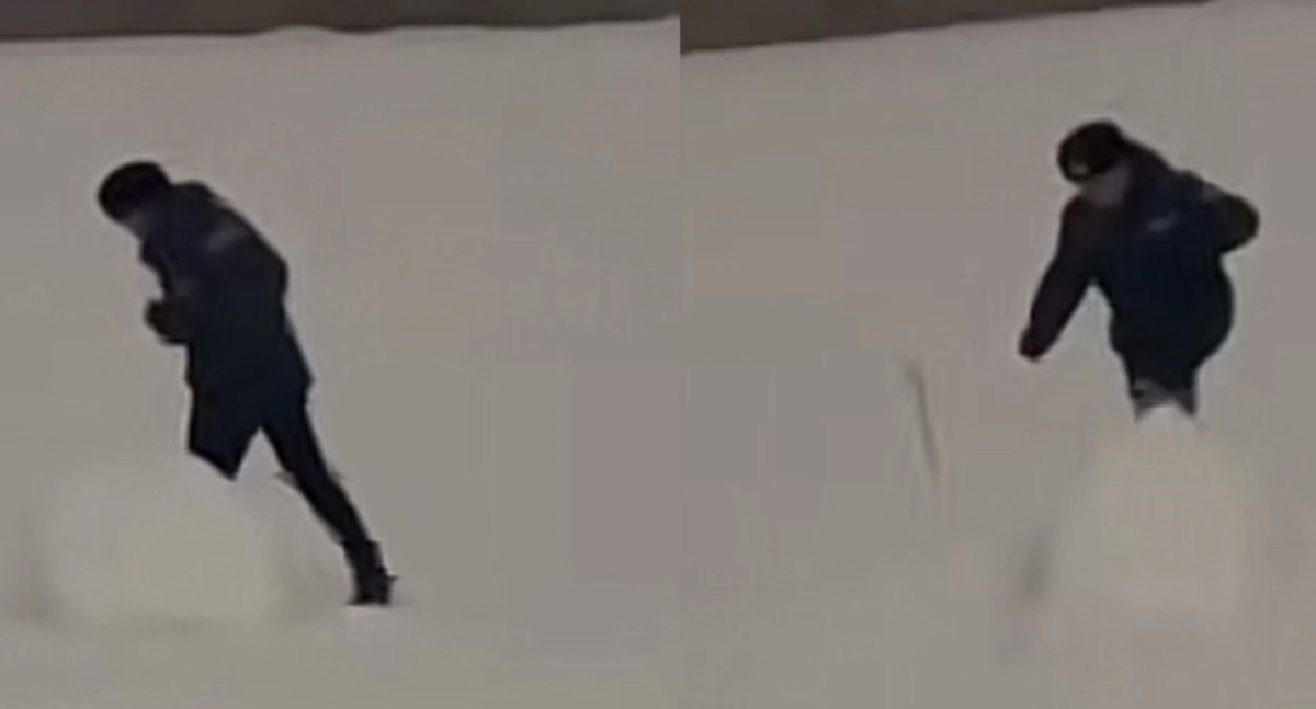 Фото: скриншот из видео