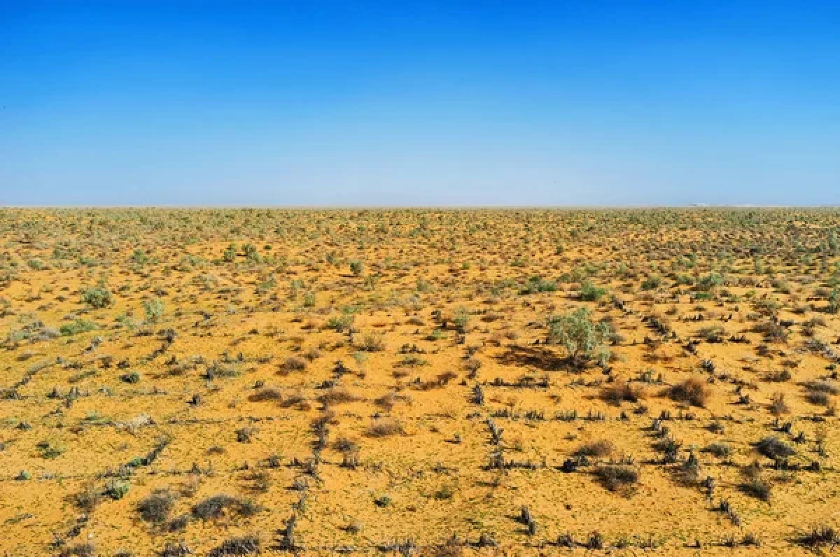 Фото: depositphotos.com