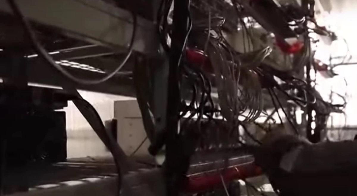 Фото: скриншот из видео