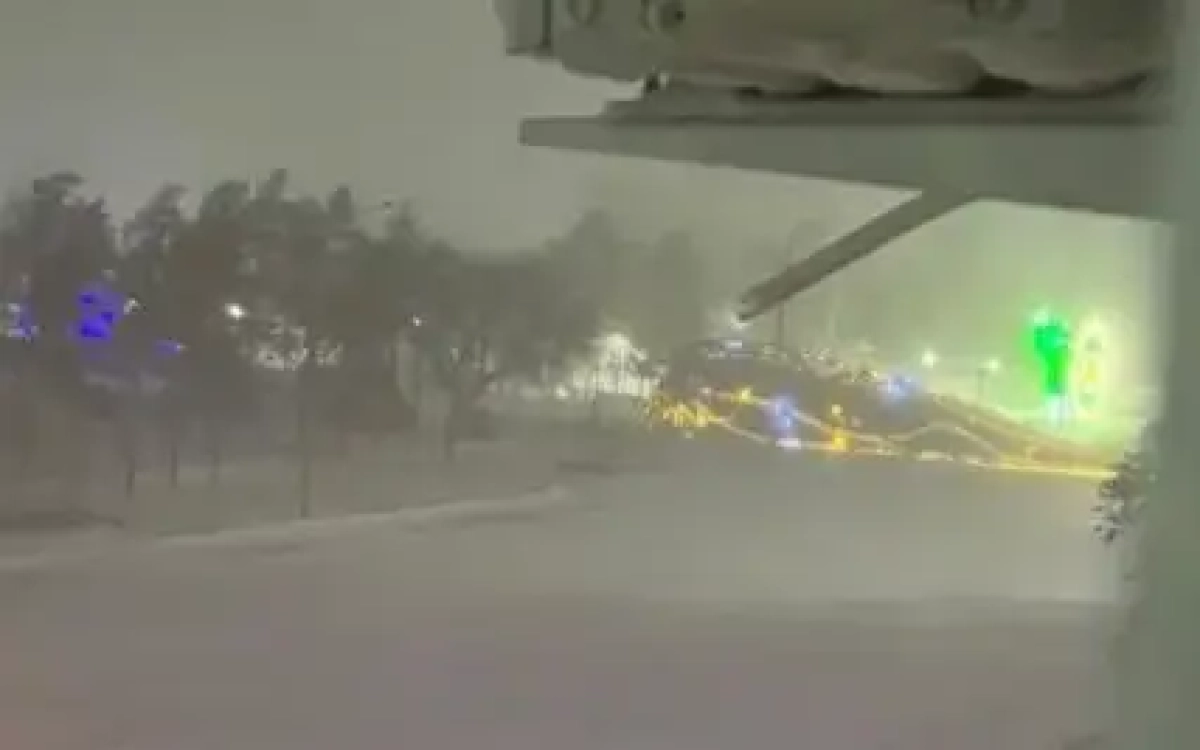 Фото: соцсети