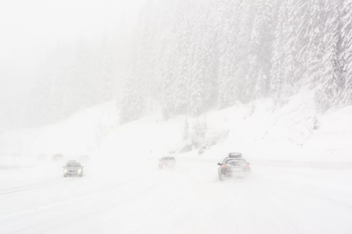 Фото: unsplash.com