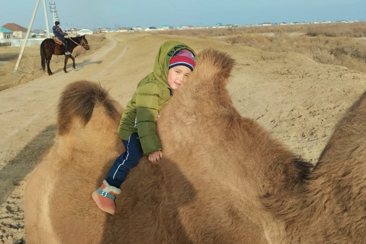 Фото: turkystan.kz