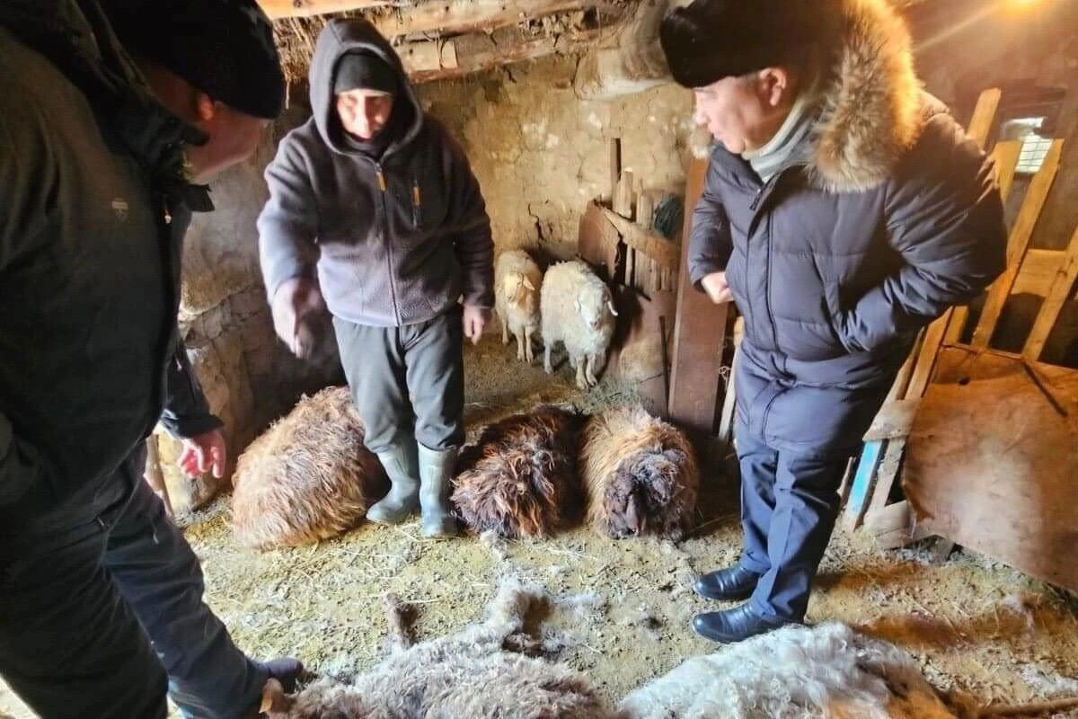 Фото: altaynews.kz