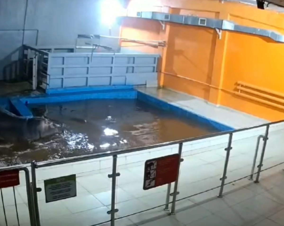 Кадр из видео