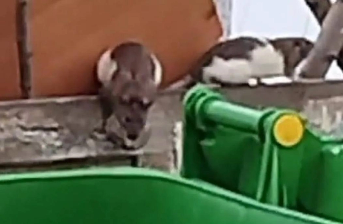 Фото: Instagram.com/@yknews.kz