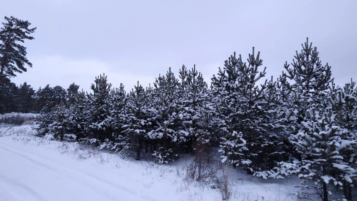 Фото: управление делами президента РК