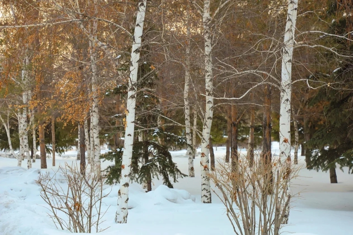 Фото: ИА «NewTimes.kz»