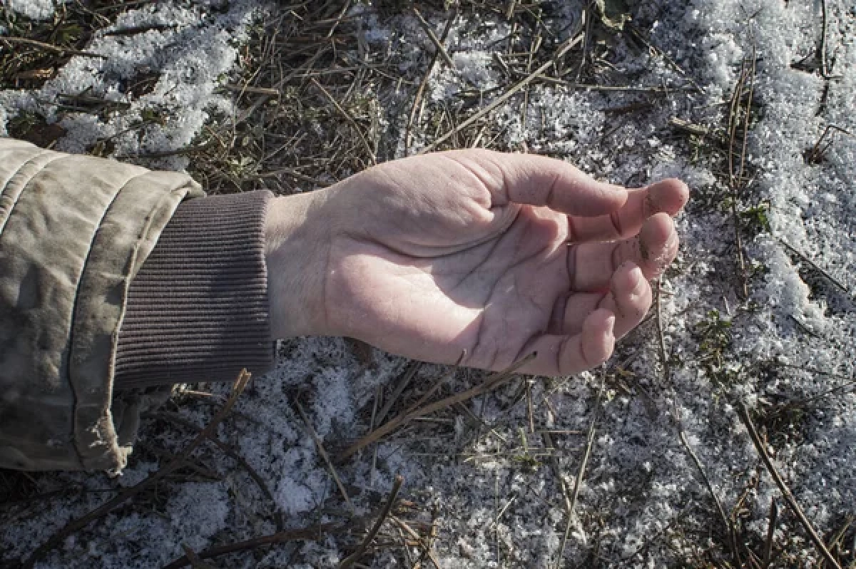 Фото: depositphotos.com