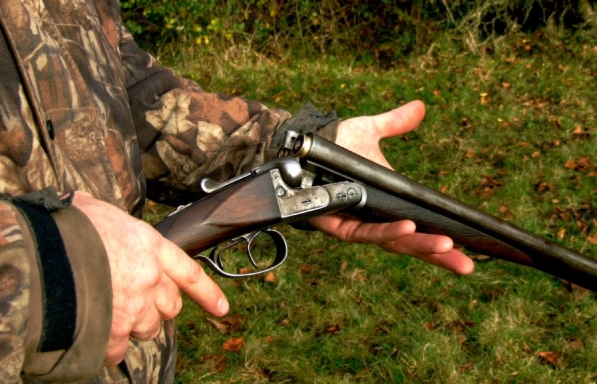 Фото: pixabay.com