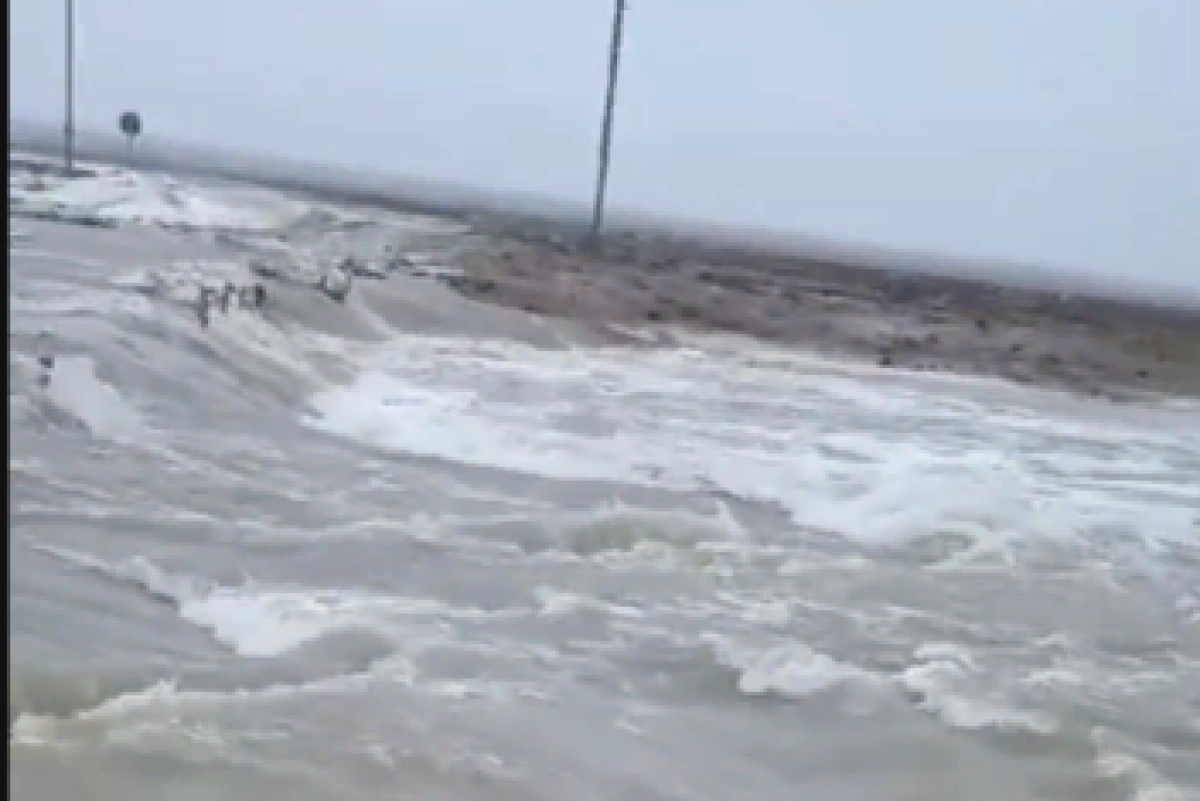 Фото: кадр из видео