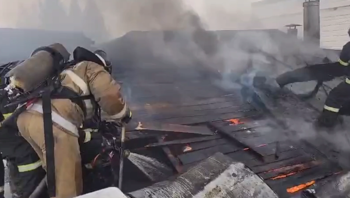 Кадр из видео