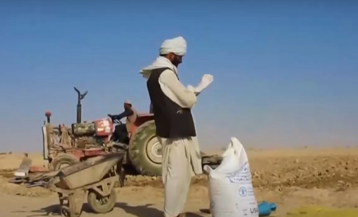 Фото: скриншот из видео