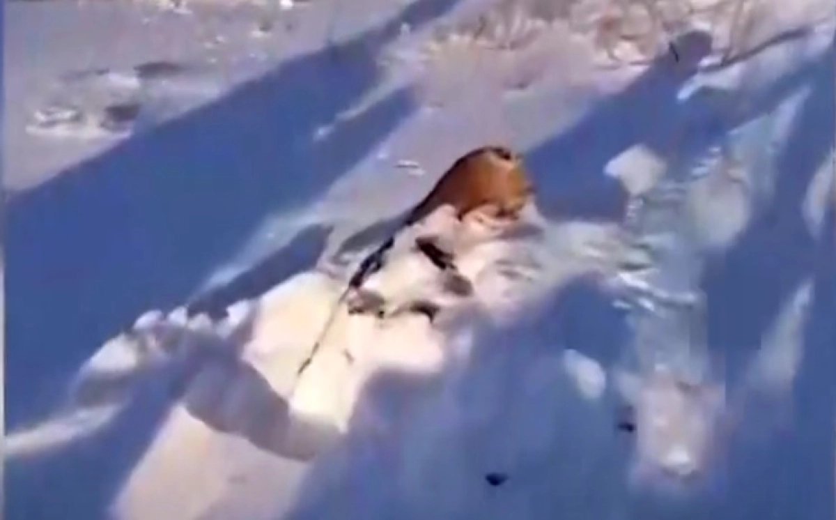 Фото: скриншот из видео