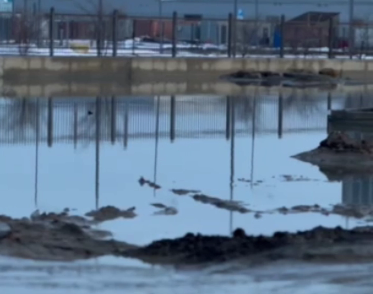 Кадр из видео