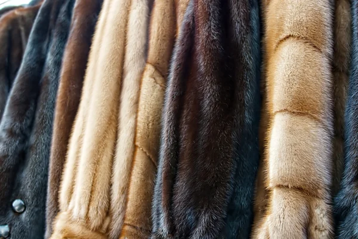 Фото: depositphotos.com