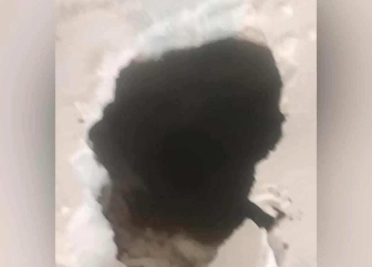 Фото: соцсети