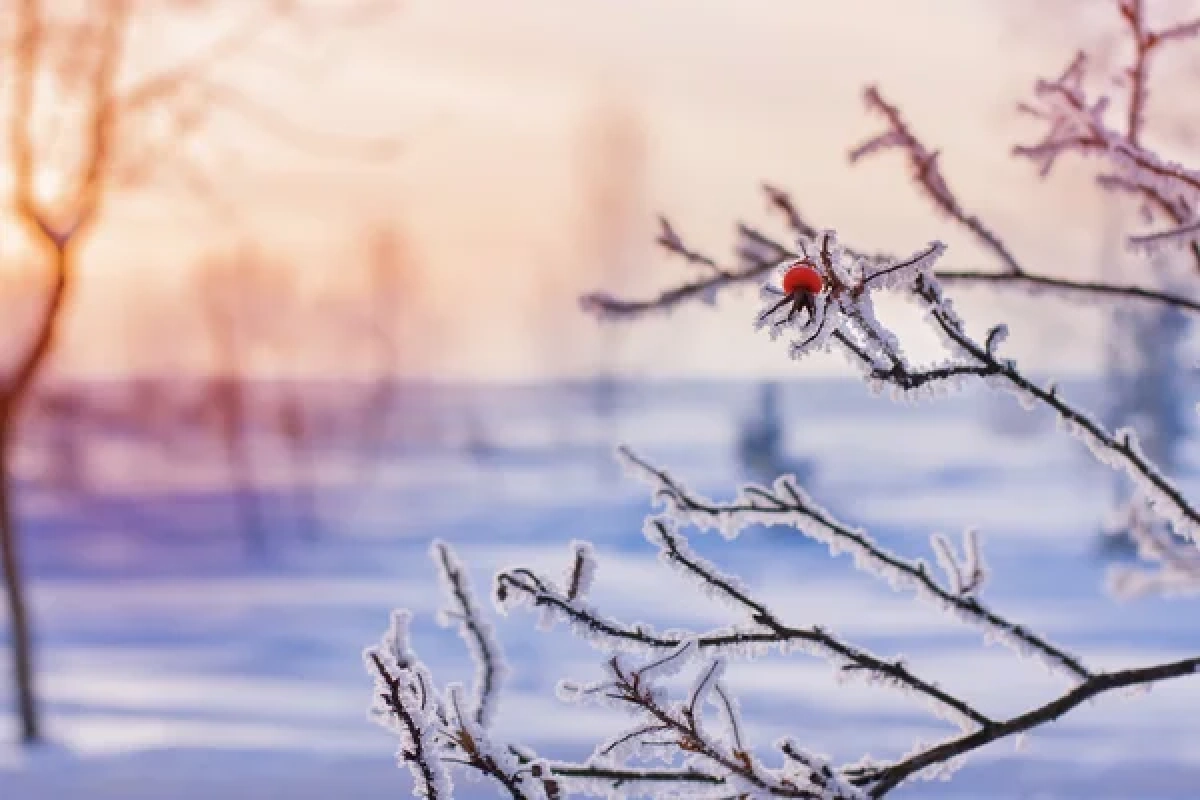 Фото: depositphotos.com