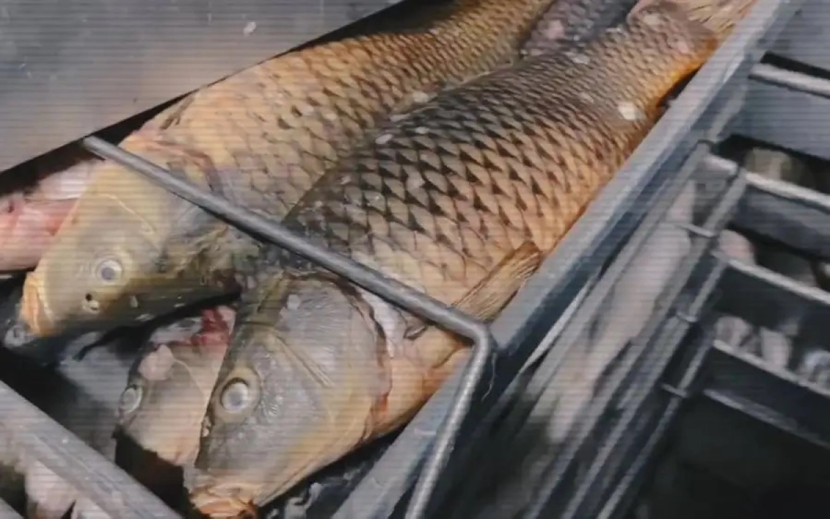 Фото:  Polisia.kz