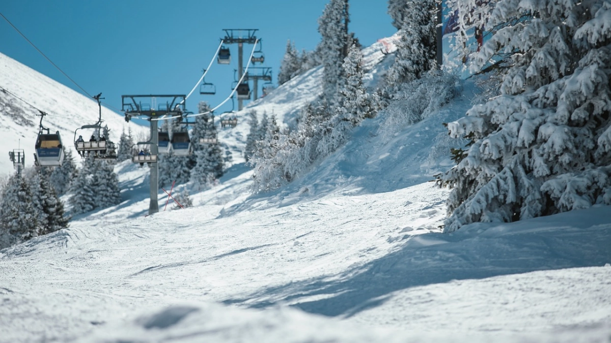 Фото: pixabay.com