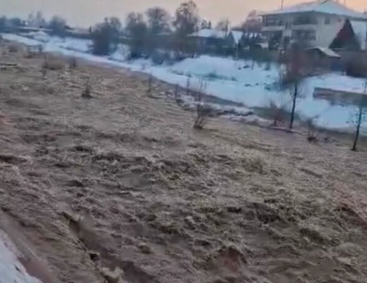 Кадр из видео