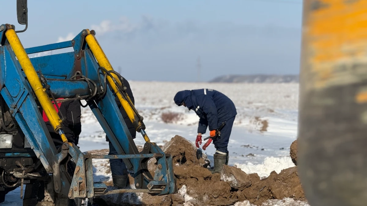 Фото: пресс-служба акима Павлодарской области