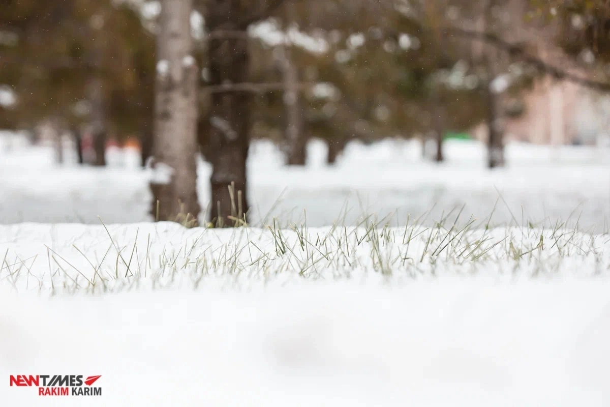 Фото: ИА «NewTimes.kz»