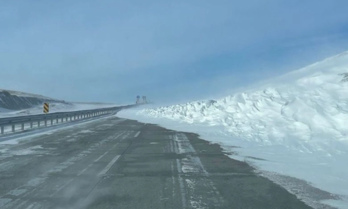 Фото: Instagram / @zhambyl_police