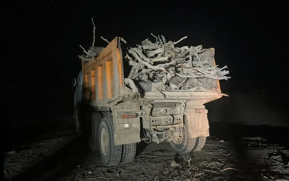 Фото: Пресс-служба ДП Жамбылской области