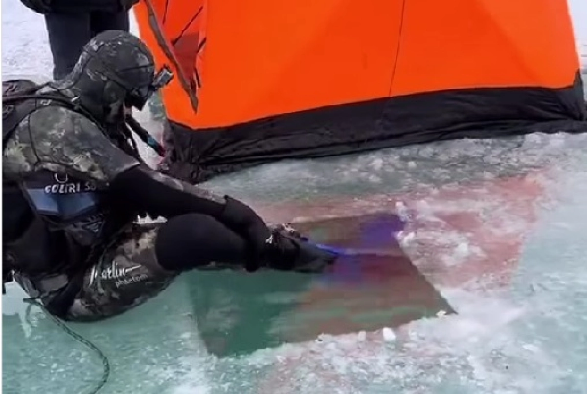 Фото: скриншот из видео