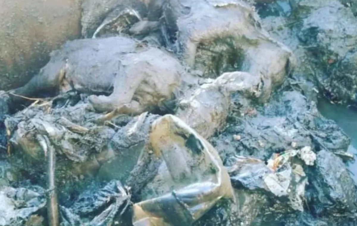 Фото: Instagram.com/@typicaluralsk