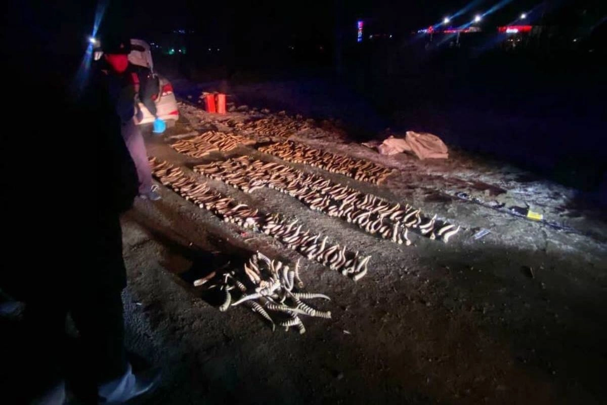 Фото:  Polisia.kz