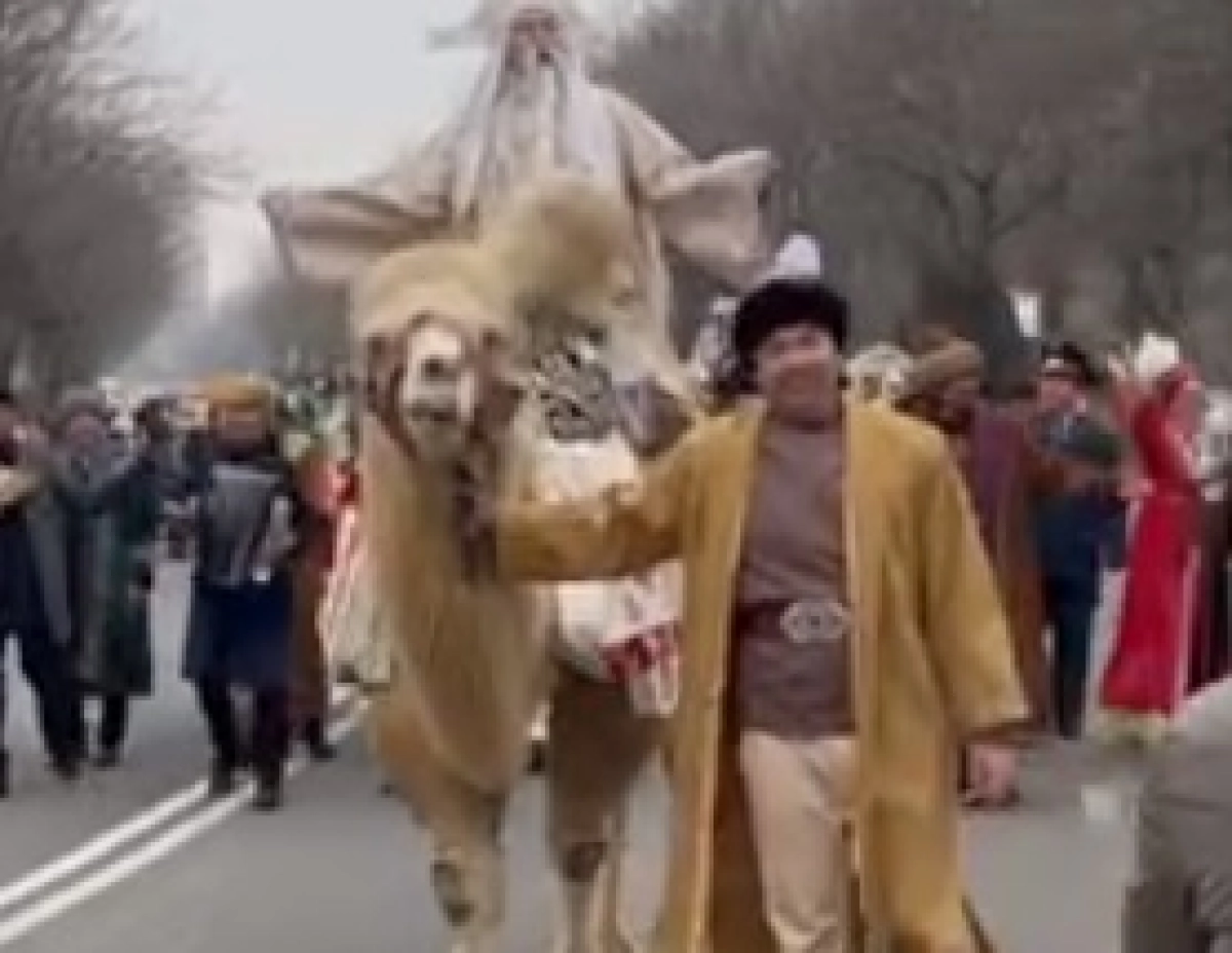 Фото: скриншот из видео