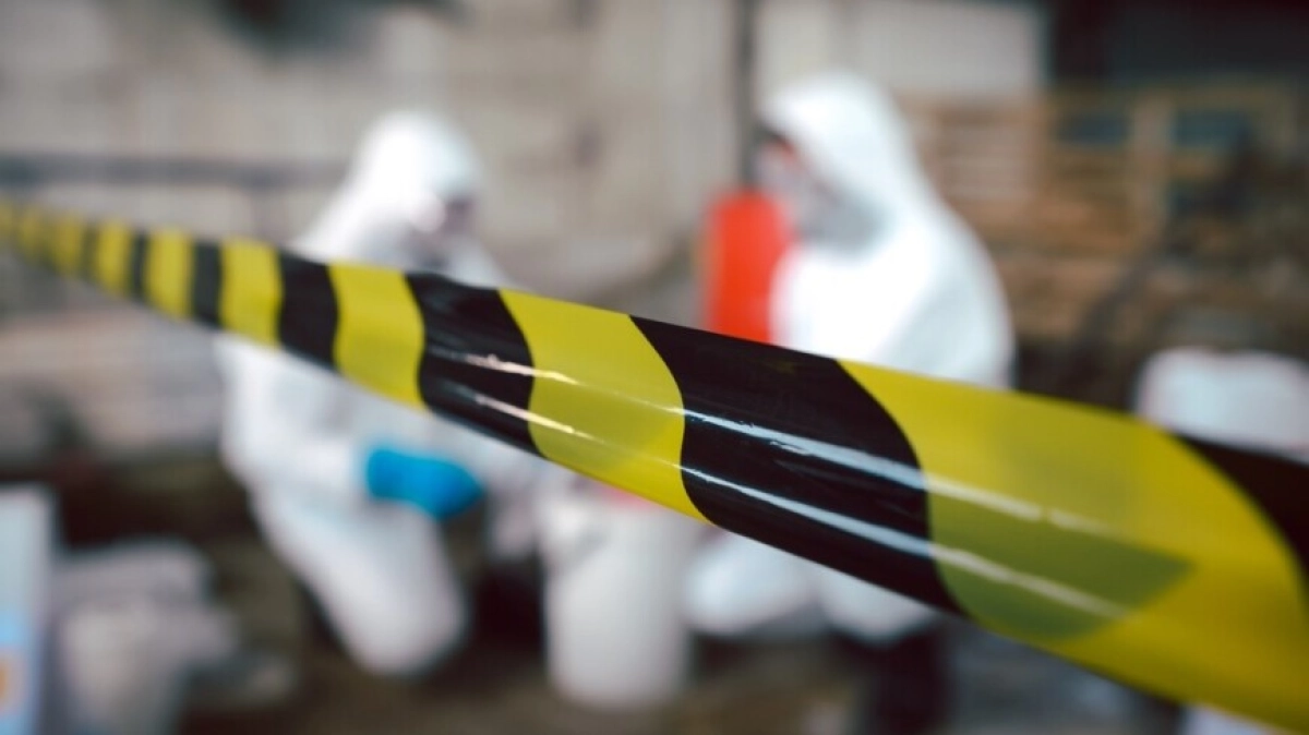 Фото: Shutterstock/FOTODOM