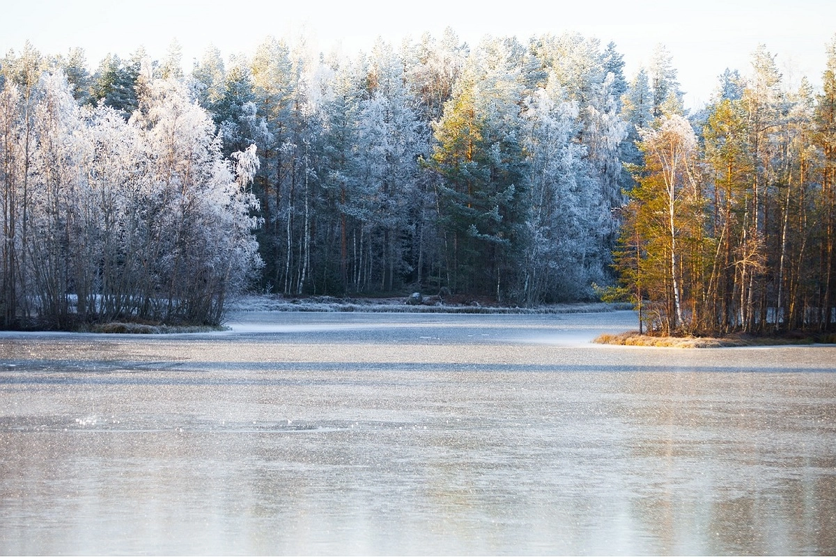 Иллюстративное фото pixabay.com