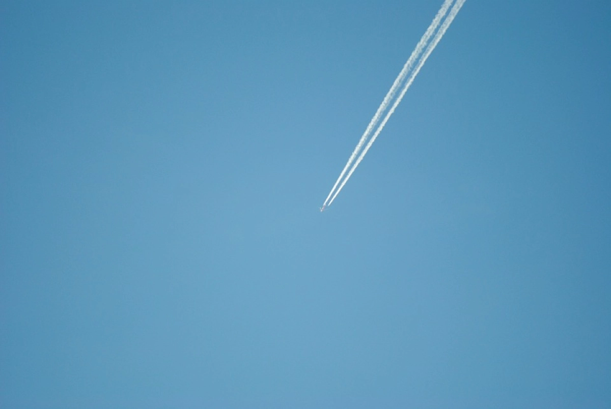 Фото: pixabay.com