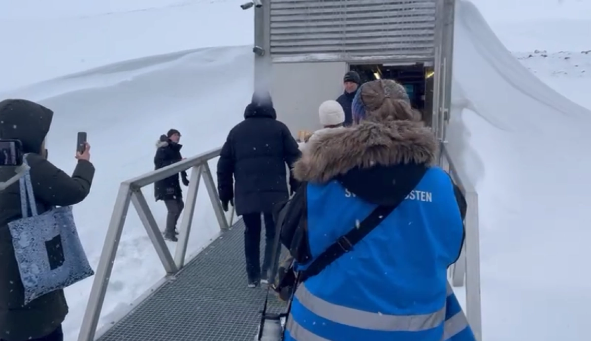 Фото: кадр из видео