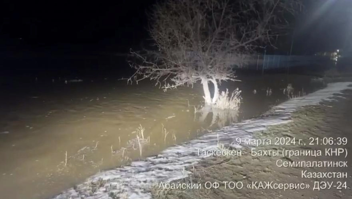 Кадр из видео