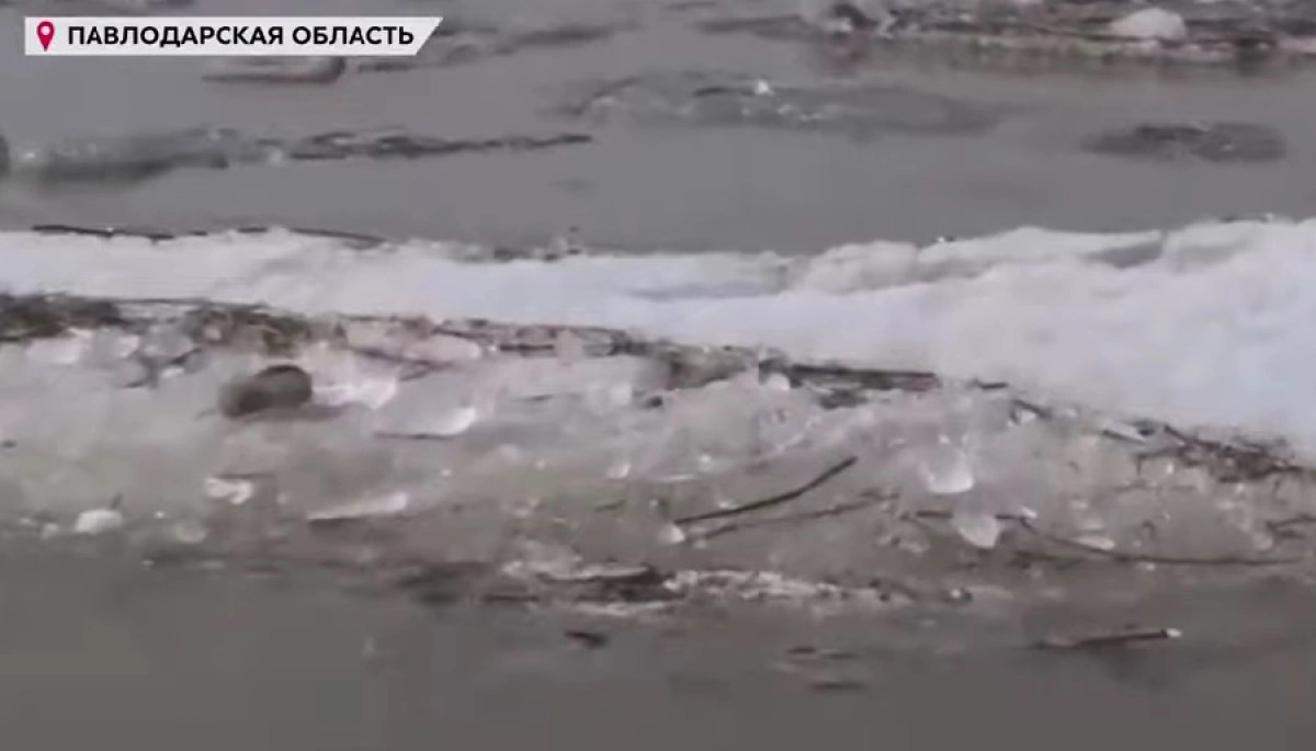 Фото: скриншот из видео