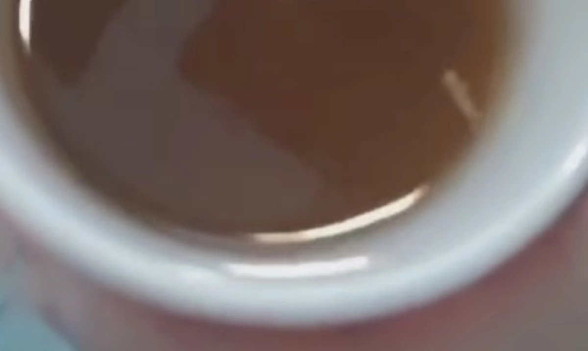 Фото: скриншот из видео